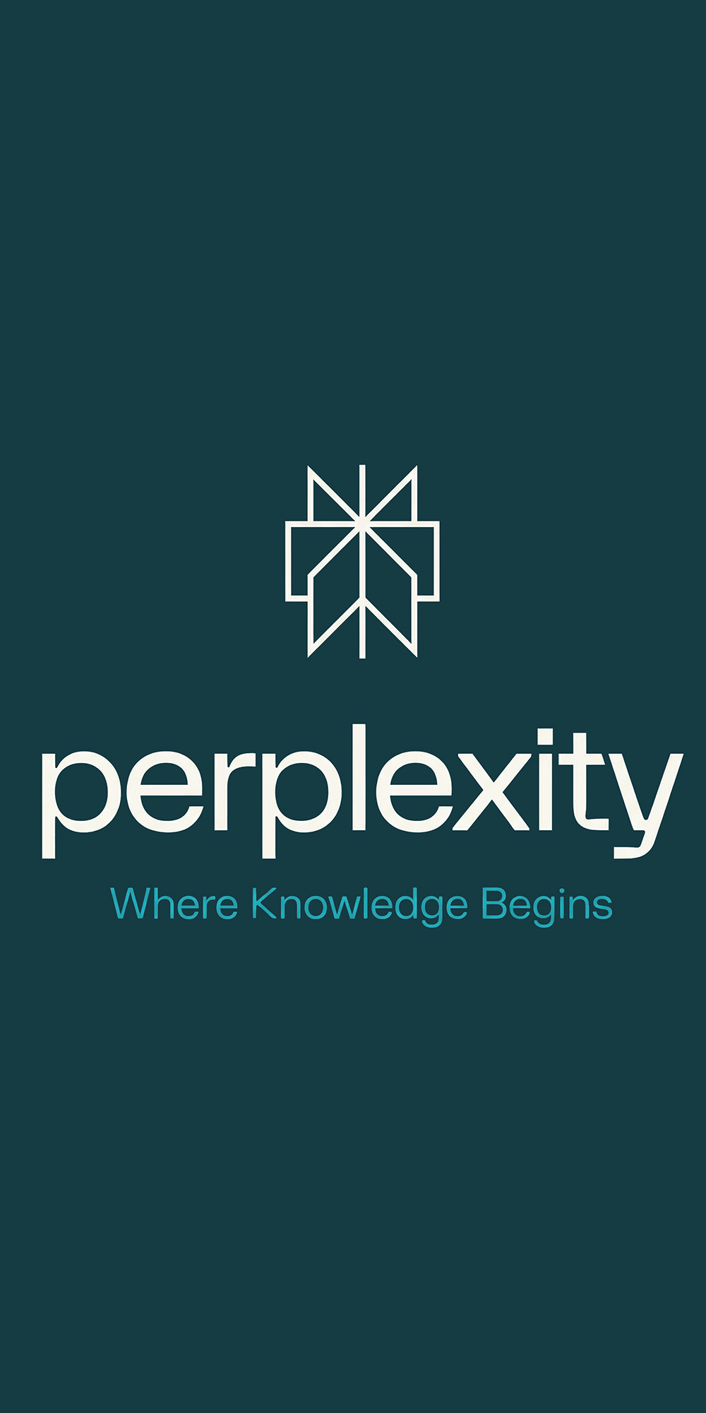Perplexity